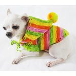 Rasta Green Orange Colorful Dog Hoodie Pet Clothes Cotton Unique  Handmade Crochet Cute Puppy Clothing Chihuahua