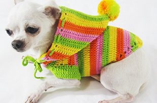 Rasta Green Orange Colorful Dog Hoodie Pet Clothes Cotton Unique  Handmade Crochet Cute Puppy Clothing Chihuahua