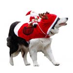 Royal Wise Running Santa Christmas Pet Costumes,Santa Dog Costume Dog  Apparel Party Dressing up