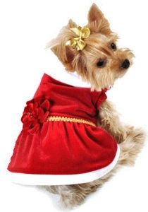Christmas dog outfit- Dog Christmas Dress Miss Santa