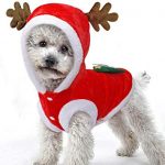 SmileyUS Santa Elk Dog Costume Christmas Pet Hoodie Coat Clothes Dog Pet  Clothing Winter Autumn Fit
