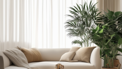Embracing Simplicity: Mastering the Minimalist Home Interior