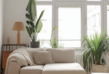 Sophisticated Simplicity: Mastering Minimalist Apartment Interiors