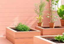 Elevate Your Green Thumb: Inspiring Raised Garden Bed Ideas for Every Space